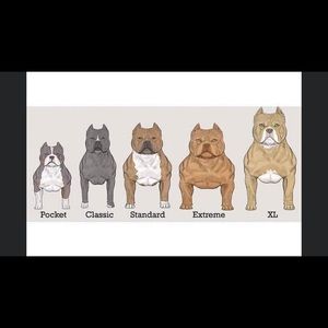 Meet your Posher, Antoine